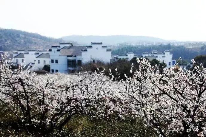 一个人做两份工作,一份交社保,另一份不交,公司能查得到在做2份工作吗?知识星球,专业共享与交流平台